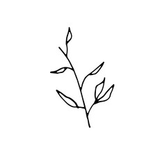 Fototapeta premium Abstract Doodle Line Art Hand Drawn Sticker Floral Botanical