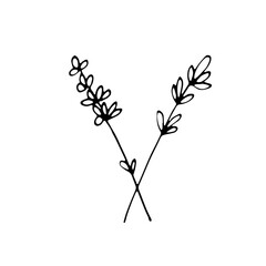 Abstract Doodle Line Art Hand Drawn Sticker Floral Botanical