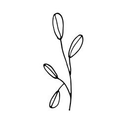 Obraz premium Floral Botanical Abstract Doodle Hand Drawn Line Art