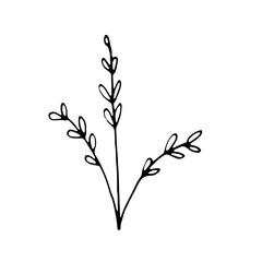 Floral Botanical Abstract Doodle Hand Drawn Line Art