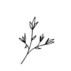 Floral Botanical Abstract Doodle Hand Drawn Line Art