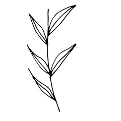 Abstract Line Art Hand Drawn Floral Flower Botanical