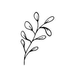 Abstract Line Art Hand Drawn Floral Flower Botanical