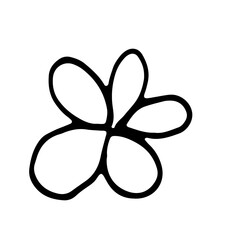 Floral Botanical Line Art Hand Drawn