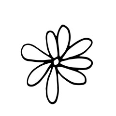 Floral Botanical Line Art Hand Drawn