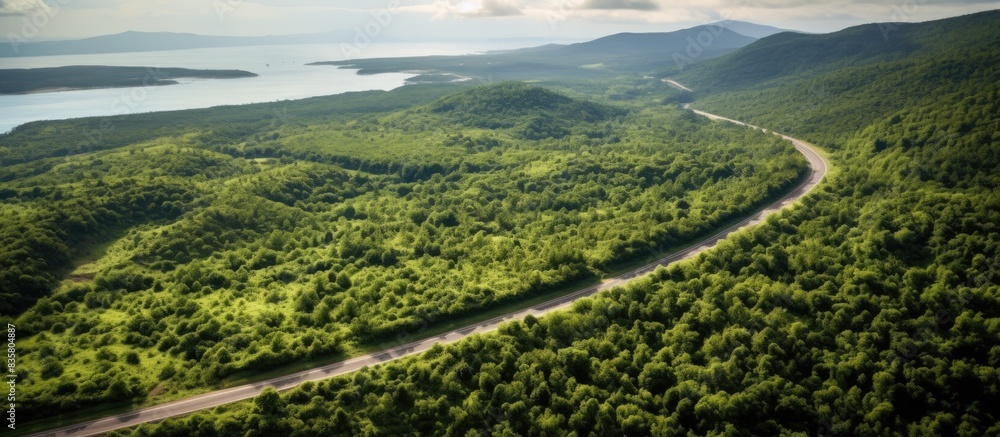Aufkleber aerial view of a sunlit forest in summer, ideal for use as a summer background with copy space image