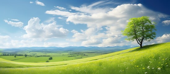 Sun setting over a green grassy field under a picturesque blue sky with fluffy clouds providing a tranquil scene with copy space image.