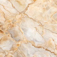 Fototapeta premium Timeless Beauty: Marble Textures Background