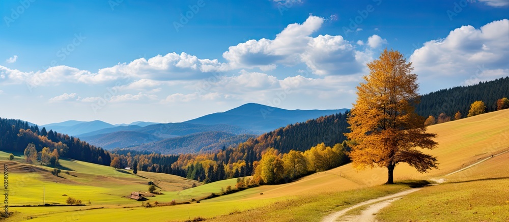 Poster capture a scenic autumn mountain view with a red beech forest in the front as a landscape photograph