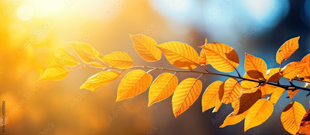 Poster nature-inspired orange bokeh background with sunlight filtering through yellow trees, ideal as a des