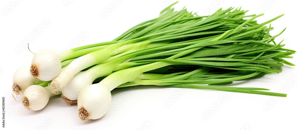 Poster freshly cut spring onions arranged alone on a white backdrop with a top-down perspective and a clipp