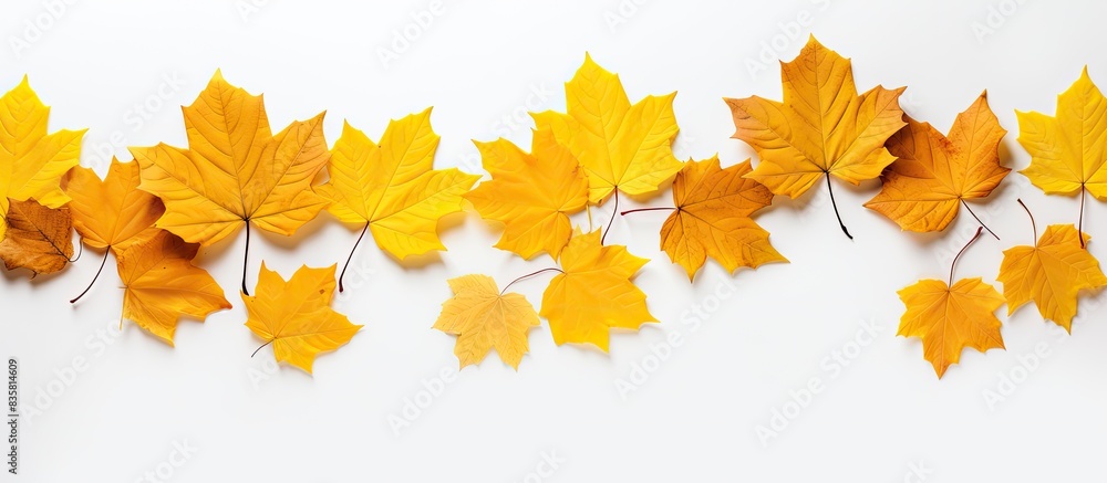 Poster autumn-themed arrangement of dried leaves on a white background, ideal for fall concepts, captured i