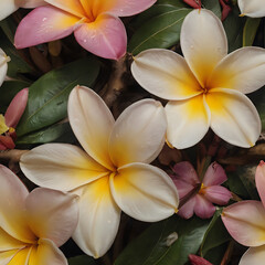 Fototapeta premium a many different colored flowers that are on the ground