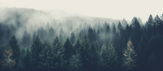 Vintage hipster style landscape with misty mountains, fir forest, and copy space image.