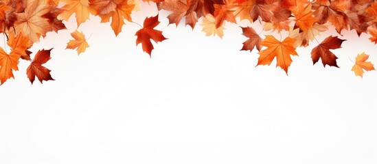 Autumn scenery with maple trees under bright sunlight. Ground covered with dry leaves, creating a warm, orange background for copy space image.