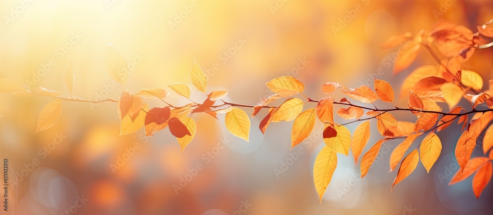 Poster nature-inspired orange bokeh background with sunlight filtering through yellow trees, ideal as a des