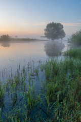 awesome misty morning on the river