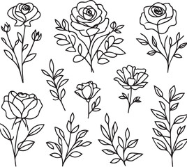 One-line drawing of a decorative, fresh blossoming rose silhouette with leaves, isolated on a white background. Hand-drawn sketch, vector stock illustration