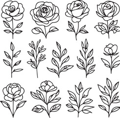 One-line drawing of a decorative, fresh blossoming rose silhouette with leaves, isolated on a white background. Hand-drawn sketch, vector stock illustration