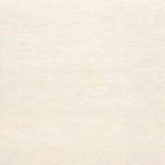 Fototapeta premium Artistic Canvas: White Primed Cotton Canvas Texture Background