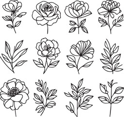 One-line drawing of a decorative, fresh blossoming rose silhouette with leaves, isolated on a white background. Hand-drawn sketch, vector stock illustration