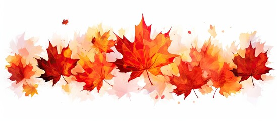 Obraz premium Brightly patterned autumn maple leaf displayed against white background in a banner shape, with copy space image.
