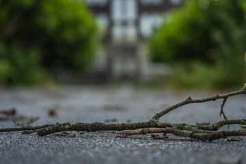 Ein Stock liegt auf einem Weg in der Stadt.