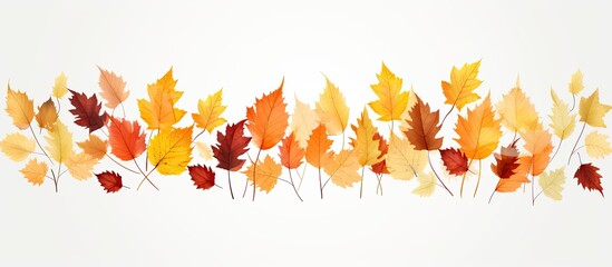 Autumn leaves in yellow and orange hues gently cascade down in a serene setting with a white backdrop, perfect for a copy space image.