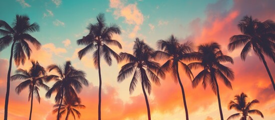 Fototapeta premium A silhouette of a tropical palm tree against a sunset sky with abstract clouds, ideal for travel concepts, featuring pastel color tones and a relaxing ambiance. Copy space image