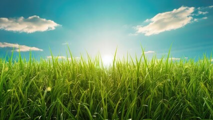 Fototapeta premium Sunlit Serenity: A Vibrant Display of Nature’s Vitality