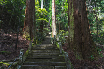 奈良 室生寺 奥の院参道の風景