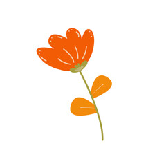 orange flower vector blossom illsutration