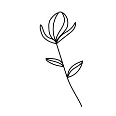 Abstract Doodle Floral Botanical Illustration Line Art Hand Drawn