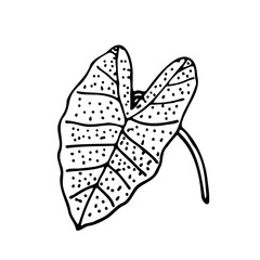 Abstract Doodle Floral Botanical Illustration Line Art Hand Drawn