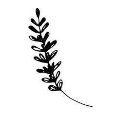 Abstract Doodle Floral Botanical Illustration Line Art Hand Drawn