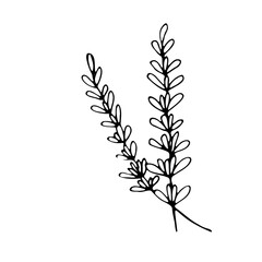 Abstract Doodle Floral Botanical Illustration Line Art Hand Drawn