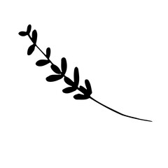 Abstract Doodle Floral Botanical Illustration Line Art Hand Drawn