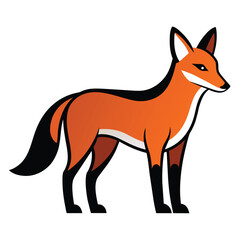 Solid color Dhole animal vector design