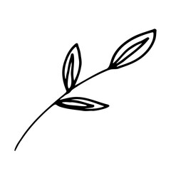 Floral Botanical leaves Line Art Hand Drawn
