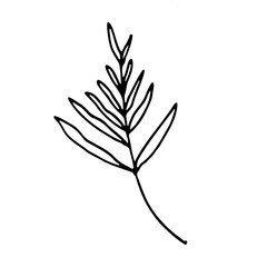 Floral Botanical leaves Line Art Hand Drawn