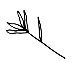 Floral Botanical leaves Line Art Hand Drawn