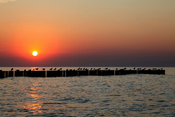 sunset over the sea