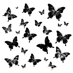 set of black butterflies on white background