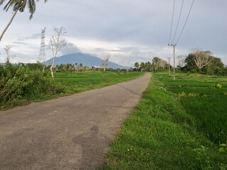Asphalt road in the middle of rice fields with mountains in the background