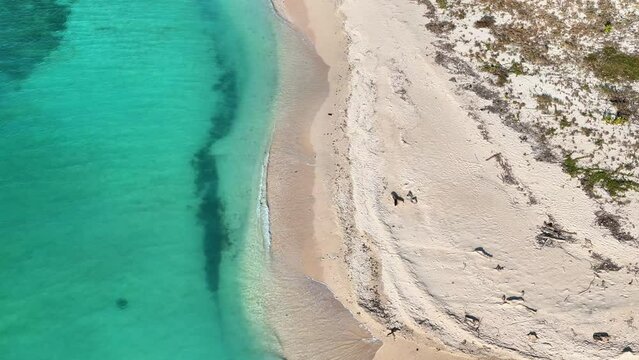 aerial view of clear water waves on white sand beach on tabuhan island banyuwangi east java indonesia. tourist destination in summer.