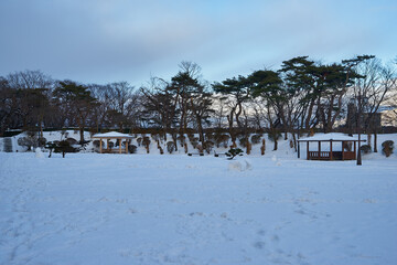 秋田県秋田市　冬の千秋公園
