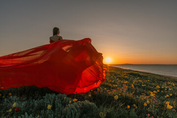 A woman in a red dress is standing in a field with the sun setting behind her. She is reaching up with her arms outstretched, as if she is trying to catch the sun. The scene is serene and peaceful. - Powered by Adobe