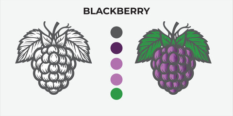 Black and White Vector Illustration of a blackberry for Coloring Book with color sample. 
