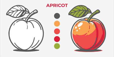 Black and White Vector Illustration of a apricot for Coloring Book with color sample. 