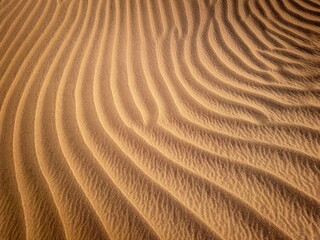 ripples in the sand